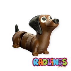 Dog Dachshund