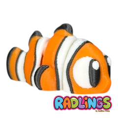 Clown fish